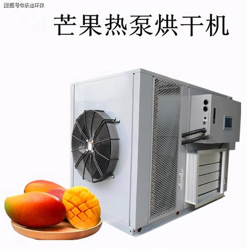 食品烘干设备之芒果烘干设备,带你 了解不一样的芒果烘干